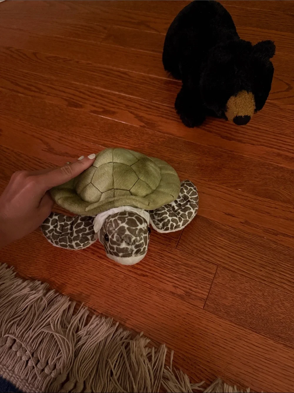Plush Turtle and Bear Small-Pet Toy Set - Green & Black